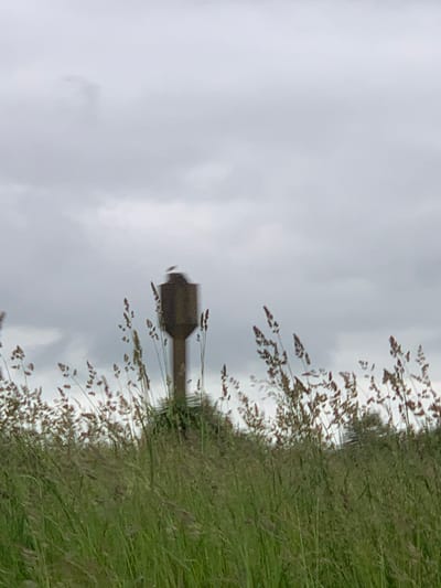 A bird is perched on top of a tall, narrow, brown structure in a field of tall grass under a cloudy sky. The structure appears to be a concrete tower or post, possibly part of a water tower or utility pole. The bird is small and dark-colored, with white markings on its head. The grass in the foreground is green and brown, with seed heads of various heights. The background is a blurry expanse of gray clouds. The location is Блеўчыцкі сельскі Савет, Belarus.
