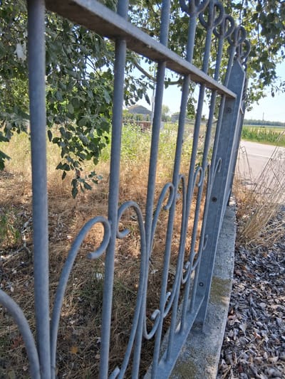 The image captures a close-up view of a grey metal gate with decorative scrollwork. The gate is positioned next to a concrete base, with dry grass, leaves, and gravel on the ground. In the background, through the gate, a building with a terracotta-tiled roof is visible, surrounded by green trees and vegetation. Beyond the building, a paved road runs alongside a field of green crops, suggesting a rural or semi-rural setting. The sky is clear and blue. The scene appears to be in Colorno, Italy, indicated by a building visible in the background.