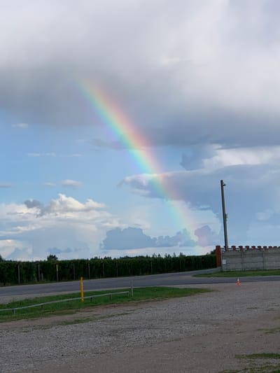 The image captures a rural landscape in the vicinity of Малахавецкі сельскі Савет, Belarus, under a sky painted with a vibrant rainbow arcing through scattered clouds. The foreground is a gravel parking lot, transitioning to a strip of green grass with a simple metal barrier and a bright yellow pole. Beyond this lies a paved road, bordered by a dense, dark green hedge that stretches across the midground. To the right, a concrete fence with a brick-patterned top runs along the edge of the property, with a tall wooden pole situated next to it. An orange traffic cone is visible on the gravel surface near the fence. The background is dominated by the expansive sky, where the prominent rainbow emerges from behind gray clouds and dissipates into the blue. The overall scene suggests a post-rain or impending storm atmosphere in a tranquil, semi-rural setting.