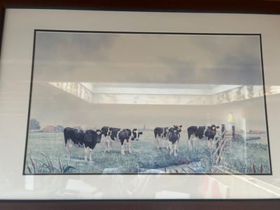 This framed watercolor painting depicts a pastoral scene in Lisse, Netherlands. The subjects are a herd of black and white cows grazing in a lush green field under a cloudy, overcast sky. The style of the painting is impressionistic, with soft brushstrokes and muted colors.
In the background, there is a traditional Dutch farmhouse with a red roof, and a church spire can be seen in the distance, suggesting a rural Dutch village. A wooden fence and some reeds are visible in the foreground, adding to the bucolic atmosphere. The lighting suggests it could be late afternoon or early morning, given the diffused light.
There are no people or specific activities taking place, the painting focuses on the tranquil existence of the cows in their natural environment. The overall mood is peaceful and serene, characteristic of Dutch countryside art. No visible text is present in the artwork or its frame.
