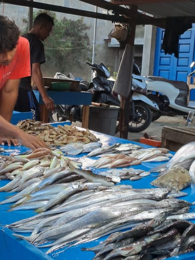 In Cottarum Tunong, Indonesia, a busy fish market is depicted. The foreground is dominated by a vibrant blue table laden with a large assortment of fresh fish. Several types of fish are visible, some are small and silver, others are larger and elongated, and there is also a pile of shrimp. Two individuals are present, their hands interacting with the seafood, suggesting they are vendors or customers engaged in a transaction. In the background, motorbikes are parked, indicating a bustling commercial area. The scene is under a makeshift canopy, offering shade from the sun. The overall impression is one of a lively, open-air market where fresh seafood is being sold.