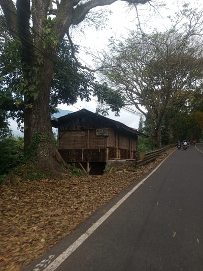 This image depicts a roadside scene in Sat Thay (East), Myanmar, under an overcast sky. The foreground and left mid-ground feature a large, mature tree with a thick trunk and both dense green foliage and exposed branches. Power lines are strung through the tree's upper portion. Adjacent to the tree, a rustic, single-story building stands elevated on wooden stilts and a concrete foundation. Its walls are constructed from vertical bamboo poles, with darker horizontal bands. A sign on the building reads "KOPI SEDUH" (Brewed Coffee) and "SULING BAMBU" (Bamboo Flute/Pipes). The ground surrounding the tree and building is extensively covered with dry, fallen leaves. Beyond the building, dense green vegetation and distant mountains or hills are visible.
The right side of the image is dominated by an asphalt road with a white edge line, curving to the right and receding into the distance. A grey metal guardrail separates the road from an embankment. Further along the road, several individuals on motorcycles/scooters are traveling away from the viewer. Riders are wearing helmets; one wears a light-colored jacket, another a dark one. A red car is partially visible behind the motorcycles further down the road. Another large tree with numerous bare branches stands on the right side, lining the road. The overall environment suggests a rural or semi-rural mountainous region.