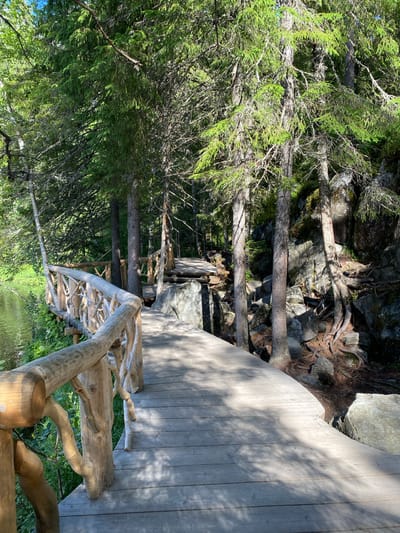 The image shows a wooden boardwalk winding through a forested area next to a body of water. The boardwalk has a rustic, naturalistic wooden railing composed of intertwined branches. Tall, slender evergreen trees with dense foliage line the path, casting dappled shadows on the wooden planks. The ground alongside the boardwalk is rocky and covered with tree roots, suggesting a rugged natural environment. The water appears calm and reflects the green of the surrounding vegetation and the blue of the sky. This scene is located within the Ruskeala Mountain Park in Ruskeala, Russia, known for its marble quarries and natural landscapes. There are no people or animals visible in the image.