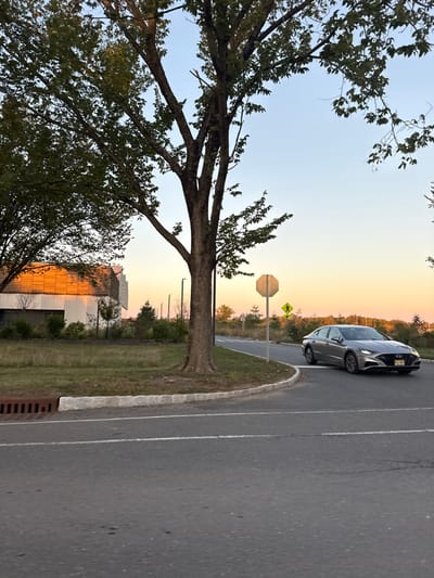 The image depicts an outdoor scene at sunset within a modern campus or research park environment in Princeton, New Jersey, United States. The sky exhibits a gradient from light blue overhead to warm orange and yellow hues at the horizon.
In the foreground, an asphalt road surface with white line markings is visible, including a solid white line on the right and a dashed white line centrally. A granite block curb separates the road from a grassy median containing a prominent deciduous tree with dark green foliage. A metal storm drain grate is present in the lower-left corner of the road.
In the midground, a silver four-door Hyundai Sonata sedan is captured mid-turn, moving from right to left, with its front angled towards the viewer. A New Jersey license plate is affixed to its front bumper. To the right of the central tree, a white octagonal stop sign and a yellow diamond-shaped pedestrian crossing sign are mounted on poles beside the road. Multiple dark-colored streetlights are distributed along the road's edge.
On the far left, a modern building with distinctive architecture is illuminated by the low-angle sunlight. Its upper facade features horizontal, possibly wooden or composite, slats reflecting a vibrant golden orange. The lower section of the building is white or light-colored with dark-framed windows. The background consists of distant trees and foliage under the sunset glow. No people are visible in the scene.