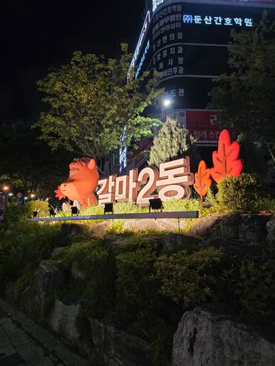 This is a nighttime, outdoor photograph taken in Daejeon, South Korea. The main focus is a large, illuminated sign with three-dimensional Korean lettering that reads "갈마2동" (Galma 2-dong), a neighborhood name. The sign is positioned in front of a building with multiple illuminated signs in Korean, listing various businesses such as a nursing academy, accounting firm, language therapy center, dental clinic, and a cosmetic surgery clinic. Two large, stylized red leaf shapes are mounted above the Galma 2-dong sign, illuminated by lighting from below. A whimsical, orange pig sculpture with a red leaf in its mouth is situated to the left of the sign, also illuminated. The scene is surrounded by lush green foliage and large rocks, with trees and streetlights visible in the background. The lighting suggests it is evening or night. The overall impression is of a well-lit, potentially commercial or residential area at night, with a mix of practical signage and decorative elements.