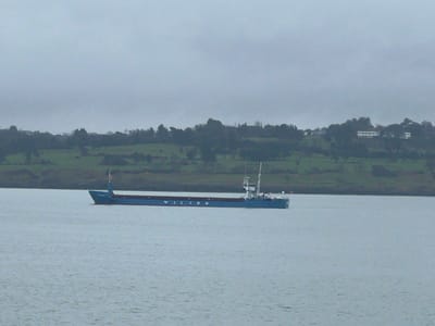 The image displays a blue cargo ship transiting a body of water under an overcast sky, with a green, hilly landmass in the background. The location is consistent with the Menai Strait near Bangor, United Kingdom.
The central subject is a blue-hulled cargo vessel, likely a general cargo ship, featuring a white superstructure towards its stern. The name "WILSON" is prominently visible in white capital letters along the starboard side of its hull. The ship is oriented with its bow facing left and its stern towards the right, suggesting movement from left to right. There are no visible individuals on board or in the immediate vicinity.
The water surface is a uniform grey-blue with minimal ripples, indicating calm conditions. The background features a distant, undulating landmass characterized by extensive green fields and numerous deciduous trees, some in dense clusters and others more scattered. Several light-colored buildings, including a multi-story white structure, are discernible on the distant hillsides amidst the vegetation. The sky above is uniformly light grey, indicating full cloud cover.
