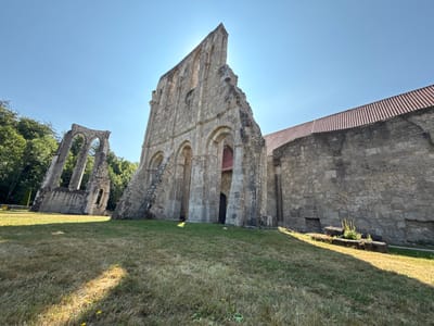The image depicts the ruins of Walkenried Abbey in Walkenried, Germany. The foreground is dominated by dry, yellowed grass with some green patches, sloping upwards towards the ruins. In the midground, the stone ruins of the abbey are visible. The main structure is a large, partially intact stone building with a pointed, jagged section of wall reaching towards the sky. Arches are visible along the facade, some of which are open, revealing darker interior spaces. To the left, further ruins in the form of arched windows or doorways stand against a backdrop of green trees. A portion of a tiled roof, in shades of red and brown, is visible on the right side of the main ruin. The sky is a clear, bright blue, with the sun positioned high and slightly to the left of the frame, casting strong shadows and highlighting the texture of the stone. The scene is quiet and devoid of any people or animals.