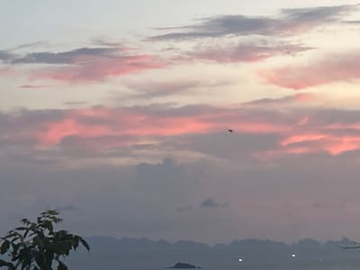 The image depicts a sunset over the sea in Baan Hin Kong, Thailand. The sky is filled with clouds colored pink and grey by the setting sun. An island is visible in the distance with lights on the water. A tree is in the lower left foreground. A bird is flying in the sky.