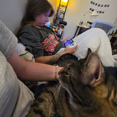 A person with long, brown hair is lying down, holding a white handheld gaming device. They are wearing a gray hoodie with red lettering on it. A tabby cat is resting on the person's chest, its head close to the person's face. The scene appears to be indoors, possibly a bedroom, with a bed and various items on shelves in the background. A lamp with a yellow light is visible on the left side of the frame. There are also several small photos clipped to the wall in the background. The person's face is illuminated by the light from the gaming device. The overall mood seems relaxed and casual. There is no visible text that is legible and relevant to the description of the image.