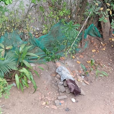 Location: Outdoor area in Badem, India.
Scene: A collection of abandoned or discarded items situated amongst vegetation and debris. The ground is covered in dirt, fallen leaves, and small stones.
Subjects: Discarded clothing (a patterned shirt and a brown jacket/bag), construction materials (bricks), and general litter.
Objects: Green netting draped in the background, various plant species (including palm-like plants and shrubs), small white container (possibly a discarded cup), and assorted debris.
Actions: N/A
Interactions: N/A
Environment: Dense foliage present in the background and surrounding the scene. The lighting suggests daytime. The overall impression is one of neglect and disuse.