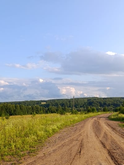 The image shows a rural landscape in the village of Zipunovo, Russia. A dirt road curves through a grassy field and leads towards a dense forest in the background. The sky is blue with scattered white clouds. There are no people or animals visible in the image. The scene is peaceful and serene, with the natural beauty of the countryside.