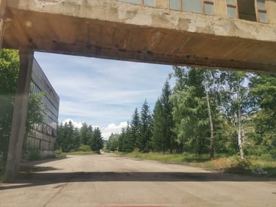 An overpass constructed of weathered concrete with visible rebar casts a shadow over a dusty, unpaved road. To the left, a large industrial building with many windows, some of which appear broken or open, stands partially obscured by trees. The road leads into a dense forest of mixed deciduous and coniferous trees under a partly cloudy sky. The scene appears to be located in the city of Zhivkovo, Bulgaria, likely in an industrial or abandoned area adjacent to a natural landscape.