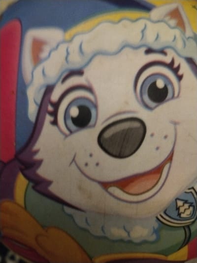 A close-up shot features the cartoon character Everest from Paw Patrol. She has white fur, large blue eyes with long eyelashes, a gray nose, and a smiling mouth with a pink tongue visible. Everest wears a white fur-trimmed hat with a yellow accent and a blue collar with a snowflake badge. The background includes pink, blue, and green sections. The image appears to be a print on a soft surface.