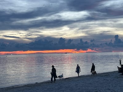 The image captures a serene beach scene at sunset in Baan Sri Thanu, Thailand. The sky is a dramatic mix of dark grey clouds and vibrant orange hues reflecting on the calm ocean. Several silhouetted figures are walking along the shoreline with their dogs. To the right, a person is either in the water or standing near the edge, while a group is seated on the sand. The overall atmosphere is peaceful and evocative of a coastal evening.