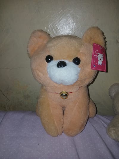 A plush, light-brown bear lies on a light-colored surface. The bear has black eyes, a white muzzle, and a golden bell on a red collar. A pink tag with a cartoon animal is attached to its head. The bear is partially on a light-purple fabric with small white dots. The surrounding environment appears to be an indoor setting with a smooth, possibly tiled floor.
There are no people or known locations in Witeithie ward, Kenya, directly discernible from the image.
