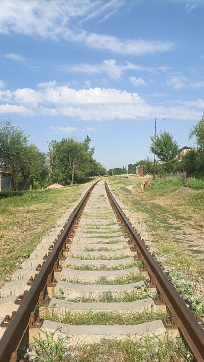 The image depicts a set of railroad tracks in an outdoor setting, likely in Нуъмон Розиқ, Tajikistan. The tracks are made of steel rails resting on concrete sleepers, with rusty metal fasteners holding them in place. They recede into the distance, bordered by dry grass and some sparse vegetation.

On the right side of the tracks, a tan-colored animal, possibly a goat or a young calf, is grazing on the grass. In the background, there are several trees with green foliage, some houses with tiled roofs, and a utility pole with wires. The sky is blue with scattered white clouds. A person, appearing as a small figure, is visible in the distance walking along the tracks. The overall scene suggests a rural or semi-rural area within the city.