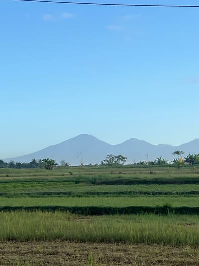 The image depicts a serene landscape in Abiansemal, Indonesia, dominated by lush green rice terraces and a prominent mountain range in the background. The sky is a clear, pale blue, with a thin, dark line, likely a power line, stretching across the top. In the foreground, dry, harvested rice stalks lie in patches, transitioning into neatly cultivated, layered rice paddies. The middle ground features more vibrant green rice fields, interspersed with tropical vegetation such as banana trees and palms. A tall, slender white structure, possibly a communication tower or a decorative pole, stands amidst the greenery. A small, traditional Balinese hut with a yellow roof is visible to the right. The distant mountains are shrouded in a soft haze, creating a sense of depth and tranquility. There are no visible people or animals in the frame. The overall impression is one of rural beauty and peaceful coexistence with nature.
