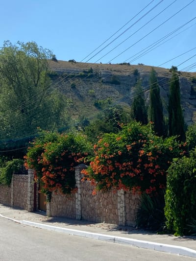 This is a vertical, eye-level, full shot of a sun-drenched street and a stone wall in Красномакское сельское поселение, Ukraine. The street in the foreground is paved and bordered by a white-painted curb and a narrow sidewalk. A stone wall, constructed from irregularly shaped, light-brown stones with white vertical stone accents, runs along the sidewalk. Lush green bushes and trees are planted behind the wall, with some of the bushes adorned with vibrant orange trumpet-shaped flowers. The background features a gently sloping, dry, grassy hillside topped with rocky outcrops. Several tall, dark green cypress trees stand in front of the hill. Overhead, a network of dark power lines stretches across the clear, light-blue sky. The scene depicts a sunny day with abundant vegetation and a mix of natural and man-made elements. There are no people visible in the image.