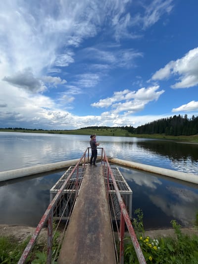 The image depicts a person standing on a metal walkway over a body of water. The person, dressed in a purple shirt and dark pants, is looking down at their phone, holding it in their right hand. The walkway has a red metal railing and a grated section. The water is calm, reflecting the bright blue sky and scattered white clouds. To the left of the water, there is a green grassy slope leading up to a dark forest of pine trees. The scene is bathed in bright daylight, suggesting a sunny day. The overall mood appears peaceful and solitary. The location is identified as Верх-Рождество, Russia. There is no visible text in the image.