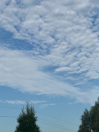 The image captures a clear sky with scattered white clouds over Zvenyhorodka, Ukraine. A tall, dark green evergreen tree is prominently featured in the foreground on the left side of the frame, with its branches reaching towards the sky. Two horizontal power lines stretch across the image, running behind the tree. On the right side of the frame, another evergreen tree is visible, partially obscured by the frame edge. The sky itself is a vibrant blue, with the clouds exhibiting various textures and formations, from wispy streaks to puffy masses. No people or animals are visible in the frame.