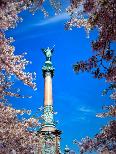 The image depicts a scene framed by blooming cherry blossoms, with a clear, bright blue sky above. In the center, a tall, ornate column is visible, appearing to be made of a reddish-brown material and adorned with intricate green metalwork near the top. A small, winged statue, possibly an angel or a mythological figure, is perched on the column. The blossoms are a soft pink and white, creating a delicate and ethereal atmosphere. The perspective of the photo is upward-looking, emphasizing the sky and the overhead branches. The light suggests it is daytime, likely a sunny day given the vibrancy of the blue sky. While the specific location of Pastavy, Belarus, is provided as context, there are no direct visual cues in the image to confirm this. The overall mood is serene and picturesque, capturing the beauty of spring. There is no visible text in the image.
