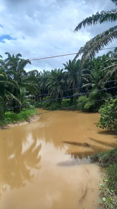 The image shows a brown, still body of water, possibly a river or canal, running adjacent to a lush green area with palm trees and other vegetation. Overhead, power lines are visible against a backdrop of a partly cloudy sky. The scene is likely located in the city of Na Nuea, Thailand, based on the prompt. There are no visible people or actions taking place in the image. The focus is on the natural environment and the water's reflection of the surrounding trees and sky.