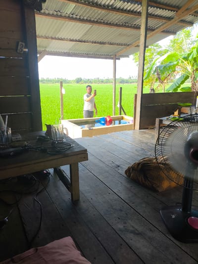 The image depicts an open-air structure with a corrugated metal roof, supported by wooden beams and posts, overlooking a vibrant green rice paddy field. A man in a grey t-shirt and jeans is standing in the middle ground, holding a smartphone and seemingly taking a selfie or recording. In front of him is a rectangular concrete structure filled with water, containing two red and blue objects, possibly buckets or floats.
The foreground reveals a rustic wooden floor and a wooden table laden with various items: several glasses, a pack of cigarettes, a computer mouse, and coiled black cables, suggesting a workspace or lounge area. To the right, a black oscillating fan stands on the floor, partially obscuring a folded patterned textile, possibly a blanket or mat. In the far background, lush green trees and vegetation are visible against a bright sky, indicating a rural setting. The overall scene suggests a humble dwelling or rest stop adjacent to agricultural land in the vicinity of Blangseureukuy, Indonesia.