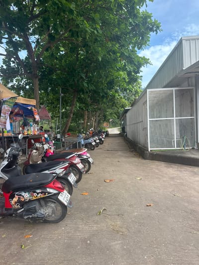 The image captures an outdoor scene, likely a street or alleyway, filled with parked vehicles and lush greenery under a bright sky. The perspective is rotated 90 degrees clockwise, showing the ground plane vertically.

A long line of motorcycles and scooters is parked on the left side of the image (when viewed upright). Many of these vehicles are modern scooters, featuring various colors like red, black, and beige. Their seats, handlebars, wheels, and license plates are clearly visible. Some license plates display Thai script and numbers, such as "พ.ส. 200 / 4667" and "บ.อ. 3477," consistent with the given location context of Tambon Ko Tao, Thailand. One motorcycle seat has a floral and cartoon-like pattern.

Adjacent to the motorcycles, further left, are several large trees with dense green foliage, suggesting a tropical or subtropical climate. The sky, partially visible through the tree canopy, is bright blue with scattered white clouds, indicating daytime and good weather.

On the far left, nestled among the trees and motorcycles, is a small vendor stall or market stand. It features a blue tarp and shelves displaying various goods, possibly beverages or snacks. The word "DOMINO" is visible on a sign on the stall, along with other partially obscured Thai text.

To the right of the parked motorcycles, a wide concrete or paved surface extends into the distance, appearing to recede uphill. This surface is scattered with dry leaves and organic debris. Further right, a building with a corrugated metal roof and a prominent window with a white grid frame and mesh is visible. A hose or pipe is attached to the building's wall near the window.

The overall scene depicts a typical street environment in a Thai town, characterized by the prevalence of scooters as a mode of transport and the presence of street vending, set against a backdrop of natural foliage and functional architecture.