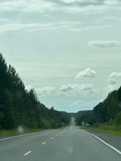 An asphalt road stretches forward into the distance, flanked by dense evergreen forests on both sides. The sky above is overcast with layers of grey and white clouds. White dashed lines mark the lanes of the road. In the distance, the road curves and appears to ascend a hill. A few small yellow signs are visible on the right side of the road. This scene is located in Proletarka, Russia, a rural area characterized by its extensive woodlands and infrequently traveled highways.