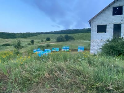 In Horodca, Moldova, an unfinished, white brick building stands to the right of a field of wildflowers and tall grass. In the middle ground, several stacks of colorful beehives, predominantly blue and yellow, are arranged in rows. Behind the beehives, a gentle slope covered in green crops, likely vineyards, rises towards a tree line under a cloudy sky. The overall scene depicts a rural apiary with an agricultural landscape.
