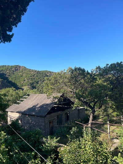 An outdoor, eye-level, long shot captures an abandoned stone structure in Mtskheta, Georgia. The single-story building, with a corrugated metal roof, appears weathered and neglected, with gaping openings where windows and doors once were. Lush green foliage surrounds the structure, obscuring parts of it and climbing up its walls. Behind the building, a verdant, tree-covered hillside rises under a clear, bright blue sky. The scene is illuminated by natural sunlight, casting shadows across the landscape.