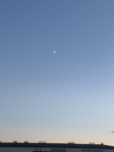 In Tovarkovo, Russia, a clear sky dominates the upper portion of the image, transitioning from a deep blue at the top to a lighter, pale blue near the horizon. A crescent moon is visible in the upper central area of the sky. Several small dark specks, possibly birds or insects, are scattered across the sky. The lower section of the image features the dark, flat roofline of a building, characterized by evenly spaced structures that appear to be vents or chimneys. The building's facade is visible as a lighter color below the roof. The overall scene suggests a calm, late afternoon or early evening in an urban or suburban environment.