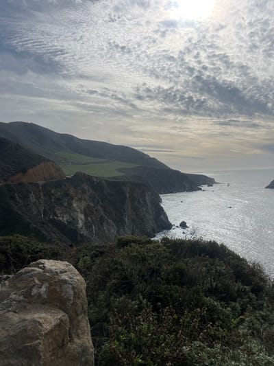 A rugged coastal landscape dominates the scene. Sharp cliffs descend to the ocean. Patches of green vegetation contrast with the dark, rocky terrain. The sea reflects sunlight, creating a shimmering effect. Overcast skies display layered clouds. Bushes and a large rock formation occupy the foreground.