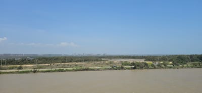 The image shows a wide, brown, choppy body of water in the foreground. Behind the water is a vegetated shoreline with scattered trees and brush. A paved road runs parallel to the shoreline, with a white fence along its edge. A light-colored vehicle is parked on the side of the road. In the middle ground, there is a dense band of green trees that extends across the image. Beyond the trees, a hazy, distant cityscape of numerous tall buildings is visible under a clear blue sky with a few wispy clouds. The overall impression is a coastal or riverine landscape with urban development in the distance.