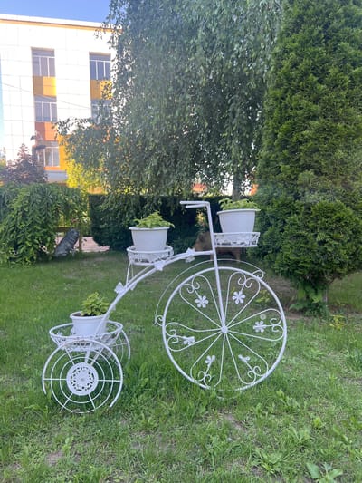 The image depicts a white, decorative metal planter in the shape of a bicycle. The planter is situated on a grassy lawn, with a building and trees in the background. The building is light-colored with yellow and orange accents, and has several windows. The trees are lush and green, with one appearing to be a weeping willow and another a coniferous tree. The planter itself has two baskets for plants, one on the front and one on the rear wheel, and a third planter on a platform near the handlebars. Each planter holds a small green plant. In the background, near a dense green bush, a statue of a wolf can be seen. The overall scene suggests an outdoor garden or park setting. This image was taken in the city of Dubăsari town council, Moldova.