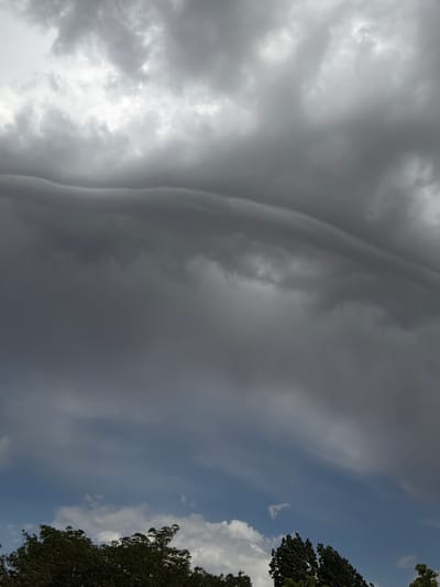 A low-angle, wide shot captures a dramatic sky filled with dark, heavy clouds, hinting at an approaching storm. The clouds are dense and layered, with a particularly striking, undulating formation spanning across the middle of the frame. A sliver of brighter sky is visible at the very top, suggesting the sun is obscured behind the thick cloud cover. In the lower portion of the image, the dark green tops of trees are visible, their branches appearing wind-swept. A small patch of lighter, scattered clouds is seen between the trees and the dominant storm clouds. The scene is devoid of any human presence or man-made structures, focusing solely on the atmospheric conditions. The location is identified as Chirchik, Uzbekistan.