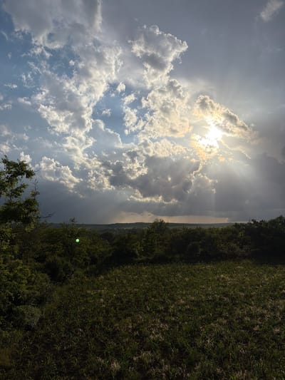 The image shows a view from Kozlovets, Bulgaria, featuring a bright, partially obscured sun in the upper left quadrant, surrounded by clouds in varying shades of white and gray. The sky transitions from brighter blue to darker, overcast tones. A strip of land with a grassy area is visible along the right edge, with some trees and other vegetation along the lower part. The landscape in the distance fades into a hazy, undefined area. No people or interactions are visible.