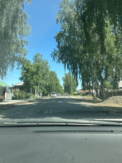 The image depicts a street scene in the city of Altayskoye, Russia, on a clear, sunny day. The perspective is from inside a vehicle, looking forward through the windshield. The street is paved and appears to be lined with trees on both sides, primarily birch trees with their distinctive white bark and green foliage.

On the left side of the street, several houses are visible. One house has a green roof and a gray metal fence. Adjacent to it is a wooden house with a dark roof and blue trim around the windows. Further down the street, more houses with various roofing materials and architectural styles are discernible.

On the right side of the street, there are also houses and fences. One section shows a wooden fence and a large pile of gravel. The foliage of the birch trees creates a canopy over the street, casting shadows.

A white car is driving on the street, heading away from the camera. A person in light-colored clothing is walking on the sidewalk in the distance, also heading away.

The sky is a bright, clear blue, indicating fair weather. The overall impression is of a quiet, residential street in a rural or small-town setting. The image appears to be taken during daylight hours, likely late morning or early afternoon, given the strong sunlight and shadows.