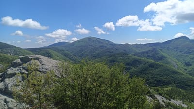 A high-angle, wide shot depicts a mountainous landscape under a partially cloudy, blue sky. The dominant feature is a series of green, forested mountains that stretch across the frame. The mountain in the center is the tallest, appearing as a prominent peak. To the left, gray rocky outcrops are visible, interspersed with young green trees. In the foreground, a cluster of leafy green trees partially obscures the view. The terrain is rugged, with varying shades of green indicating different types of vegetation and possibly elevation changes. The sky is a bright blue dotted with scattered white clouds.