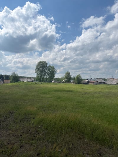 The image depicts a rural landscape under a cloudy sky with patches of blue. In the foreground, a field of tall, green grass extends towards a line of rustic wooden buildings and trees in the middle ground. The buildings appear to be old, with weathered wooden siding and corrugated metal roofs. Some of the structures are in disrepair. Two tall birch trees stand prominently behind the buildings. A treeline of dense coniferous forest forms the horizon. Power lines are visible crisscrossing the scene. The ground in the immediate foreground appears to be darker, possibly with soil and scattered debris. The scene is consistent with a rural settlement in the Kurgan Oblast of Russia.