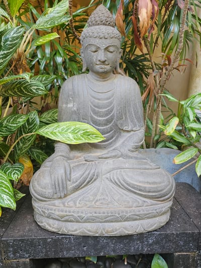A stone statue of Buddha sits in a lotus position, surrounded by lush green foliage and some dried brown leaves. The statue is grey and appears weathered. The Buddha's eyes are closed, and his hands are resting on his lap. The statue is placed on a dark, textured stone platform. In the background, there are tall, thin trees with long, slender leaves, and some larger, variegated leaves in the foreground. The overall setting suggests a tranquil, outdoor garden space.