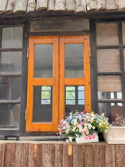 The image displays the exterior of a building in Sa Pa, Vietnam, centered on a window and door arrangement. An overhanging roof structure, composed of weathered, horizontally stacked log sections, frames the top. Below this, a dark, possibly black or dark brown, wooden frame encompasses the facade.
Centrally, a pair of light brown, wooden double doors or shutters are closed. Each door features two rectangular glass panels and is fitted with brass-colored hinges on its outer vertical edge. The glass panels reflect various elements: the upper right panel shows an interior ceiling, while the lower panels reflect green foliage from outside and a dark-framed window from an opposing structure. A partial reflection of a person, holding a device, is visible in the lower left glass panel.
To the left of these central doors, a dark-framed window section contains multiple glass panes. A dark, wooden louvered vent is partially visible within the lower portion of this section. To the right of the central doors, another dark-framed window section also features multiple glass panes; the upper two panes contain light brown, horizontal bamboo-style blinds.
Below the windows and doors, a dark horizontal ledge supports two planters. The left planter is white, irregularly shaped, and contains a dense arrangement of multi-colored artificial flowers, including shades of white, pink, blue, yellow, and purple. The right planter is a rectangular, off-white concrete container holding dried, brown plant matter. The lower facade of the building, beneath this ledge, is constructed from vertically aligned, weathered wooden planks or bark, exhibiting a rustic texture.
