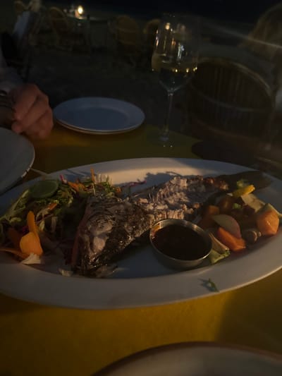 A long white plate features a grilled fish with a sauce cup, a portion of mixed vegetables, and a side salad with carrot shavings. A hand holds silverware next to a small white plate. A wine glass sits on the yellow-toned table, reflecting light. Another blurred white plate can be seen in the background.