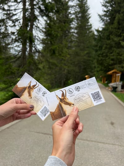 In an outdoor setting in Pitomine, Montenegro, two hands are holding two identical entrance tickets, suggesting an imminent visit to a national park. The hands, likely belonging to the same person, have light skin. The left hand's fingernails are painted with a dark polish, and the right hand displays a subtle ring on the ring finger.
Each ticket features a detailed illustration of a chamois (mountain goat) head and shoulders. Both tickets have perforated edges on one side and display the text "www.nparkovi.me", "Nacionalni park DURMITOR", and "Welcome to the NATIONAL PARK DURMITOR". Distinct logos, one depicting a chamois and another a mountain/tree symbol, are also visible. One ticket additionally features text stating "30 years first ecological state" and "Nacionalni parkovi CRNE GORE". Each ticket includes a QR code with alphanumeric identifiers: "1629200 X3RH97DDG" on the upper ticket and "1625100 4SLXSNKJV" on the lower ticket.
The background is blurred, showing dense green foliage from coniferous trees, consistent with a mountainous or forested park environment. A light, overcast sky is visible through the tree canopy. A paved surface runs through the mid-ground, and a faint wooden structure can be seen in the far background. The scene appears to be taking place during daylight hours under cloudy weather conditions.
