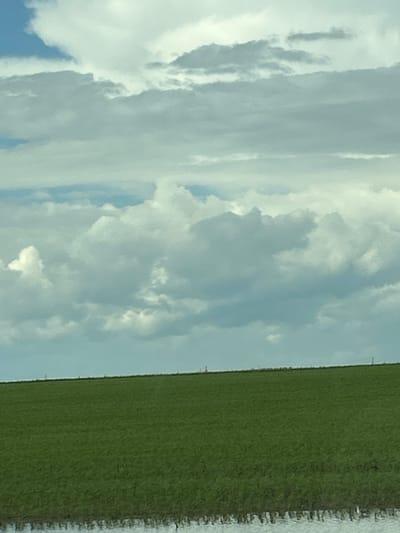 This is a vertically oriented, low-angle, medium shot of a vast expanse of green field adjacent to a body of water under a cloudy sky. The field occupies the right two-thirds of the frame, with its even, short grass stretching towards the horizon. A narrow strip of white, textured material, possibly a beach or embankment, runs along the far right edge of the field, separating it from the water. The water itself is not clearly visible, only implied by the presence of this textured strip and the overall light conditions.
The left third of the image is dominated by a pale blue sky filled with dense, white clouds that appear soft and diffused. The clouds are layered and textured, suggesting a partly cloudy or overcast day. There are no discernible objects or people within the field or on the water. The scene suggests an outdoor, possibly rural or natural setting, with a strong emphasis on the textures and colors of the landscape. The lighting indicates it is daytime, but the heavy cloud cover suggests it may be overcast or late afternoon. No text is visible in the image.