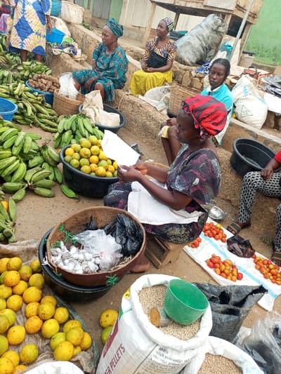 A bustling outdoor market scene features several women displaying their goods. Heaps of green plantains, bright oranges, and tomatoes are prominent. One woman in a red headscarf is examining papers amidst her wares, which include a basket of garlic and bags of animal feed. Other women sit on a raised platform behind her, observing the activity. Woven baskets and large bags are scattered around, completing the vibrant marketplace tableau.