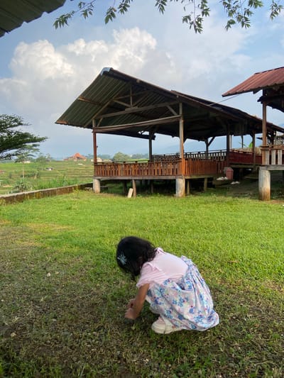 A young girl is crouching down on a grass lawn in Penanggungan, Indonesia. She is wearing a light pink top and a light blue floral print dress. She has dark hair with a decorative hair clip. She is looking at something on the grass, possibly picking it up with her hand. Behind her is a wooden, multi-level structure with a tin roof. In the background, there is a rice field and distant buildings under a cloudy sky.