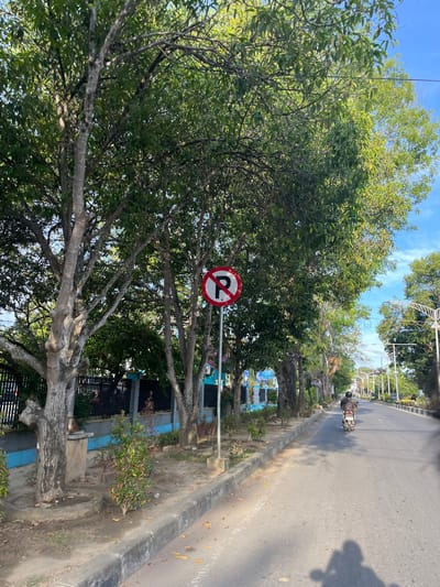 A street scene in Langsa, Indonesia, features a road with a motorcycle rider in the distance. To the left, a row of trees with full green foliage lines a sidewalk. A red and white circular sign with a red "P" crossed out is visible on a post near the trees, indicating no parking. The sidewalk is bordered by a curb and a dry, dusty area with scattered leaves. Beyond the sidewalk, a dark fence runs along the property line, with some blue and gray structures behind it. The sky is clear and blue. The overall impression is a sunny day on a city street in a tropical or subtropical environment.