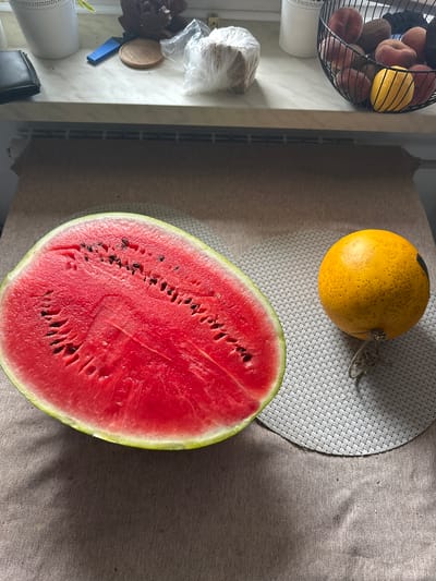 The image displays a close-up, eye-level view of a sliced watermelon and a small, yellow-orange melon on a textured placemat. The watermelon, cut lengthwise, reveals its vibrant red flesh and black seeds. The yellow-orange melon, which appears to be a cantaloupe or similar variety, has a textured rind and a short stem. Both fruits rest on a light brown, textured surface, possibly a tablecloth, which is partially covered by a light gray woven placemat. In the background, a glimpse of a windowsill is visible, with a white planter, a wallet, a wooden coaster, and a plastic-wrapped object. A black fruit basket containing peaches and a lemon is also on the windowsill. The setting suggests an indoor environment, likely a kitchen or dining area, and based on the provided context, the location is Dziekanów Leśny, Poland. There are no people or animals present in the image. The lighting suggests natural light sources, casting shadows on the fruits and the tablecloth.