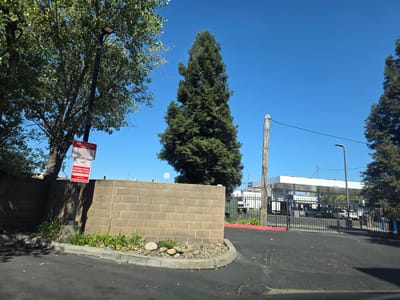 The image depicts a scene in West Sacramento, California, USA, on a clear, sunny day. In the foreground, a paved asphalt surface, likely a road or parking lot, is visible. To the left, a low, textured brick wall runs along the edge of the paved area. A small patch of greenery with scattered rocks and pebbles is planted in front of the wall. A tall, dark tree with dense green foliage stands behind the wall, and to its left, a street lamp with a rectangular light fixture extends upwards.
Further back, a very tall, conical evergreen tree dominates the center of the frame, its dark green needles contrasting with the bright blue sky. To the right of this tree, a weathered wooden utility pole stands with a dark wire strung between it and a distant pole. Beyond the brick wall and evergreen tree, a white-canopied structure, likely a gas station canopy, is visible with several cars and possibly a truck underneath. A black metal gate encloses the area behind the canopy. The environment suggests a commercial or industrial area with some landscaping. Two red and white signs are mounted on a metal pole attached to the brick wall.